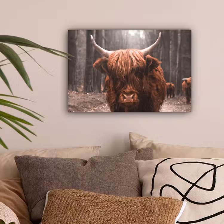 Schotse hooglander - Bos - Koe - Dieren - Natuur canvas 2cm klein -sfeer1