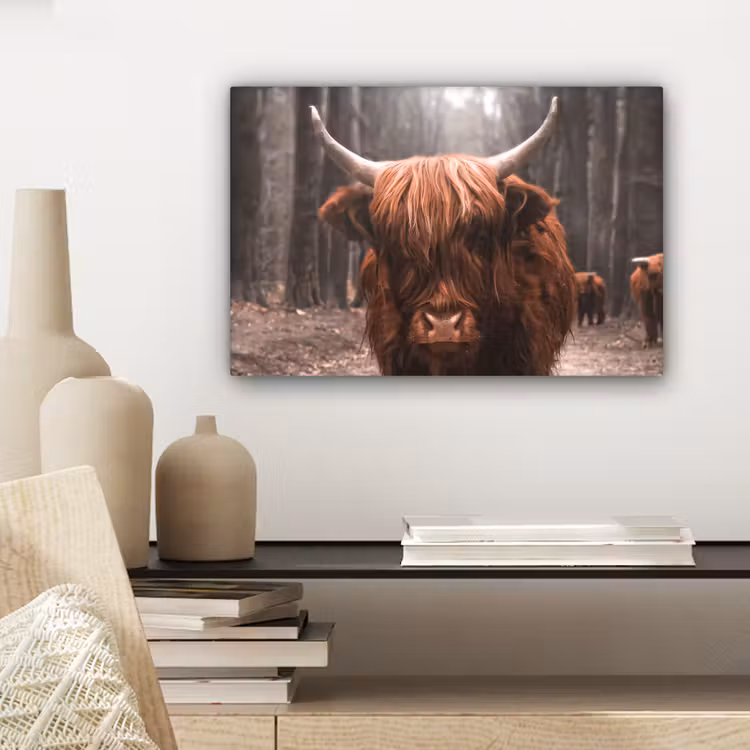 Schotse hooglander - Bos - Koe - Dieren - Natuur canvas 2cm klein -sfeer6