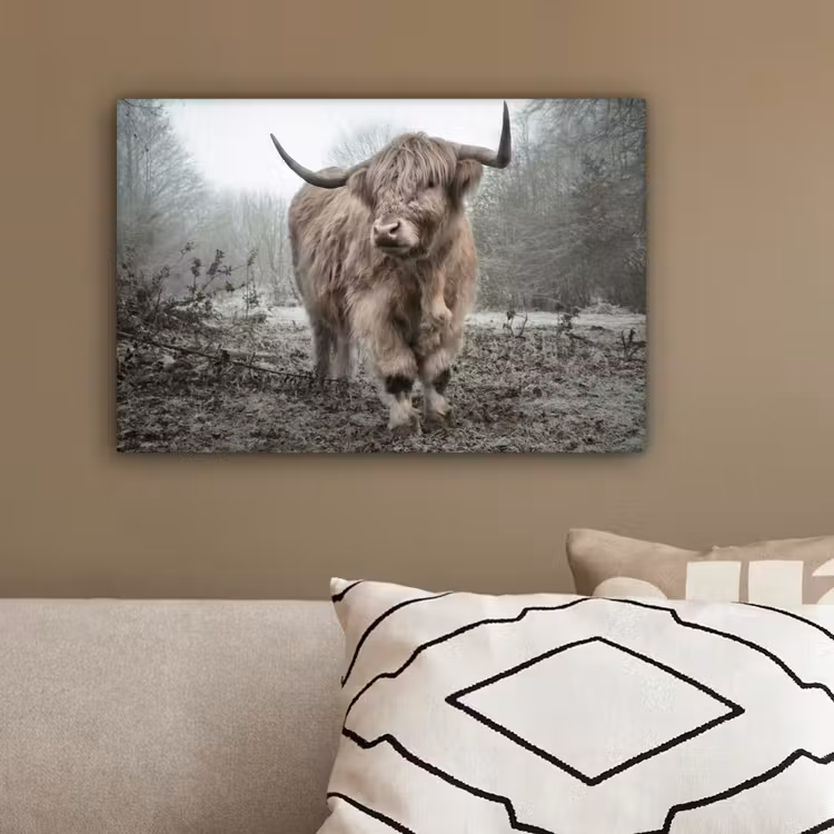 Schotse Hooglander - Bos - Mist - Koe - Dieren - Natuur canvas 2cm klein -sfeer3