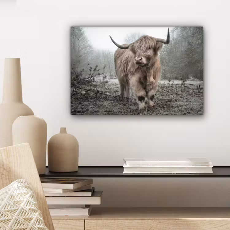 Schotse Hooglander - Bos - Mist - Koe - Dieren - Natuur canvas 2cm klein -sfeer6