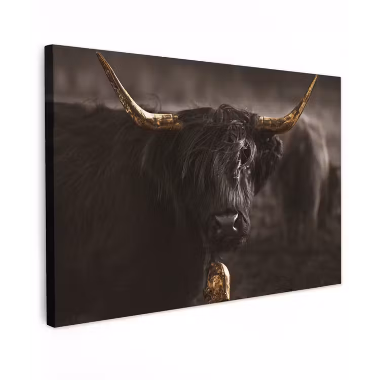 Schotse hooglander - Goud - Koebel - Hoorns - Dieren canvas 2cm klein -z3d