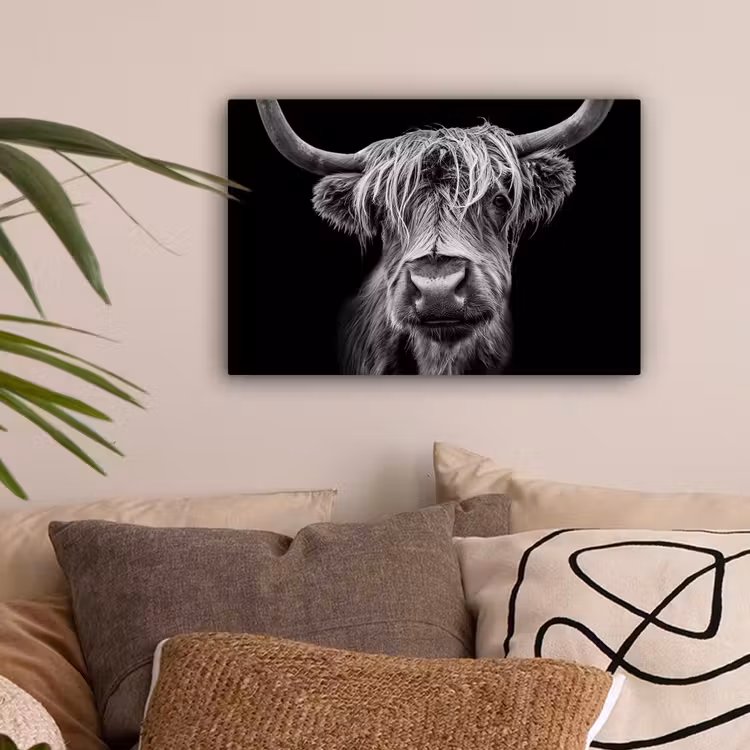 Schotse Hooglander - Horens - Zwart - Wit - Koe - Wild - Dieren canvas 2cm klein -sfeer1