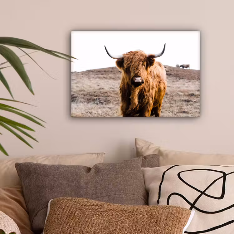 Schotse hooglander - Landschap - Koe - Bruin - Dieren - Natuur canvas 2cm klein -sfeer1