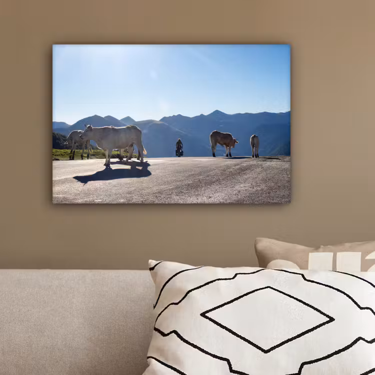 Schotse hooglander - Licht - Berg - Natuur canvas 2cm klein -sfeer3