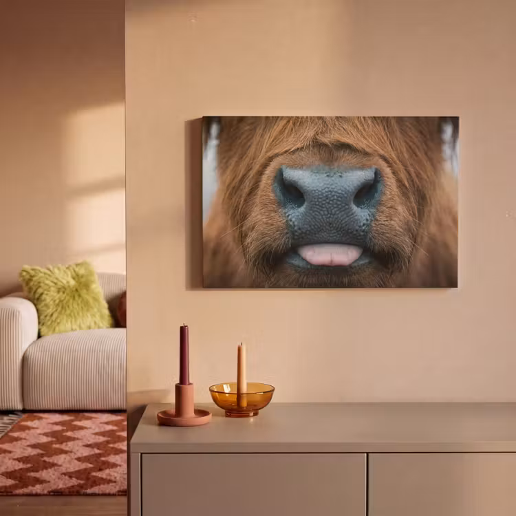 Schotse hooglander - Neus - Bruin canvas 2cm klein -sfeer1