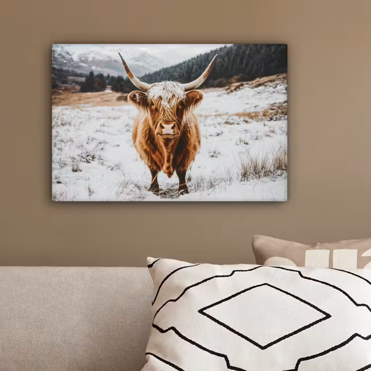Schotse Hooglander - Sneeuw - Winter - Dieren canvas 2cm klein -sfeer3