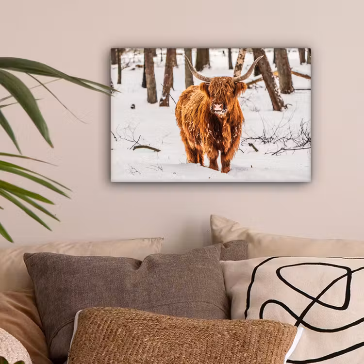 Schotse Hooglander - Sneeuw - Winter - Natuur - Dieren canvas 2cm klein -sfeer1