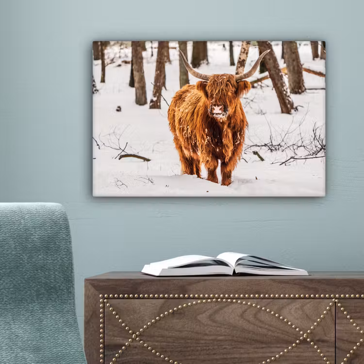 Schotse Hooglander - Sneeuw - Winter - Natuur - Dieren canvas 2cm klein -sfeer4