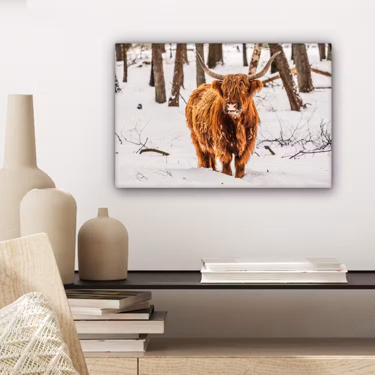 Schotse Hooglander - Sneeuw - Winter - Natuur - Dieren canvas 2cm klein -sfeer6