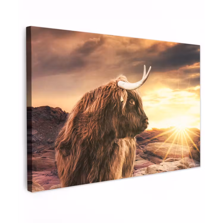 Schotse hooglander - Zon - Horizon - Koe - Dieren canvas 2cm klein -z3d