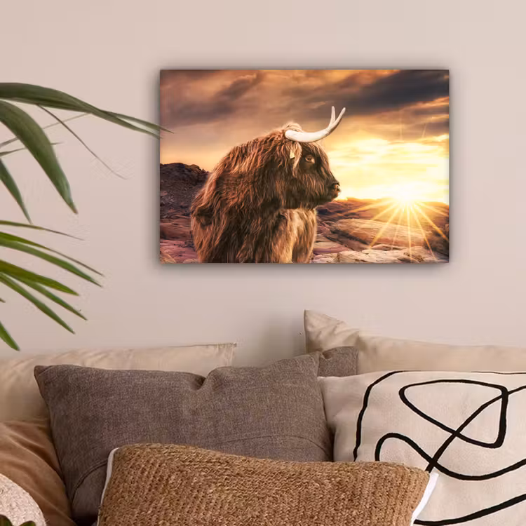 Schotse hooglander - Zon - Horizon - Koe - Dieren canvas 2cm klein -sfeer1