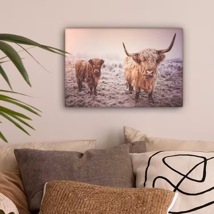 Schotse hooglanders - Licht - Lucht - Natuur canvas 2cm klein -sfeer1