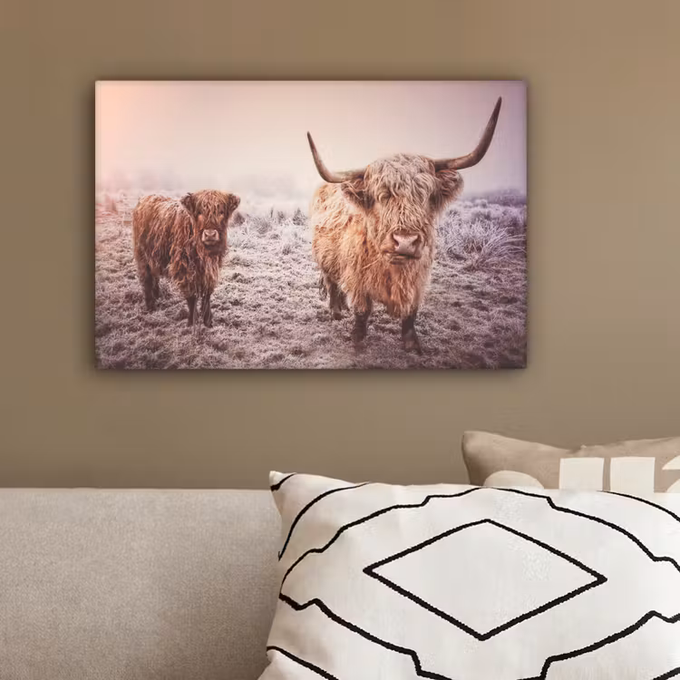 Schotse hooglanders - Licht - Lucht - Natuur canvas 2cm klein -sfeer3