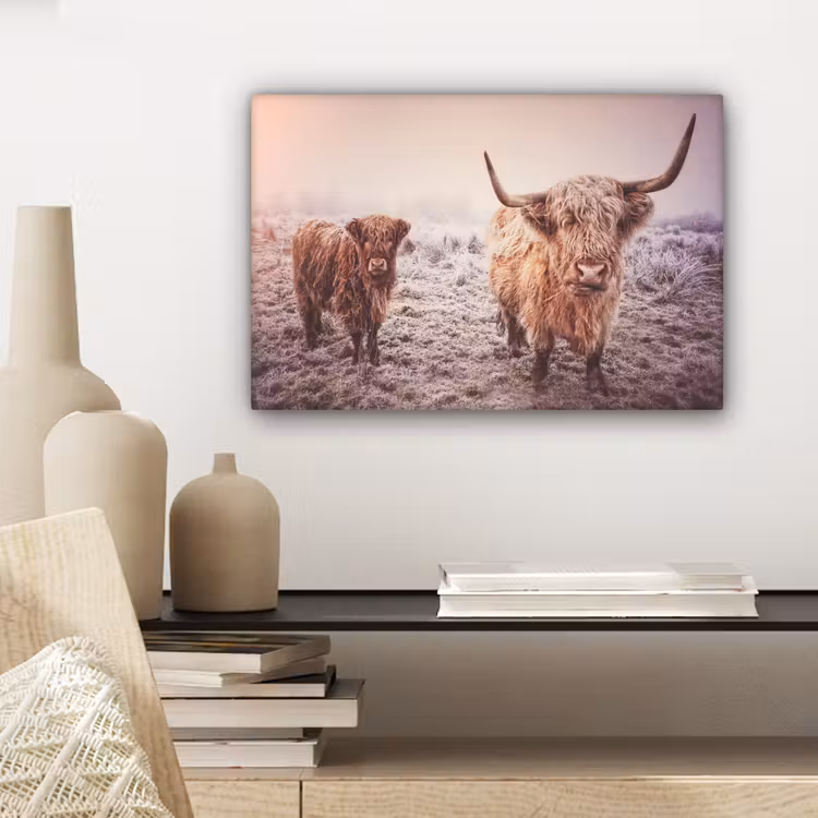 Schotse hooglanders - Licht - Lucht - Natuur canvas 2cm klein -sfeer6