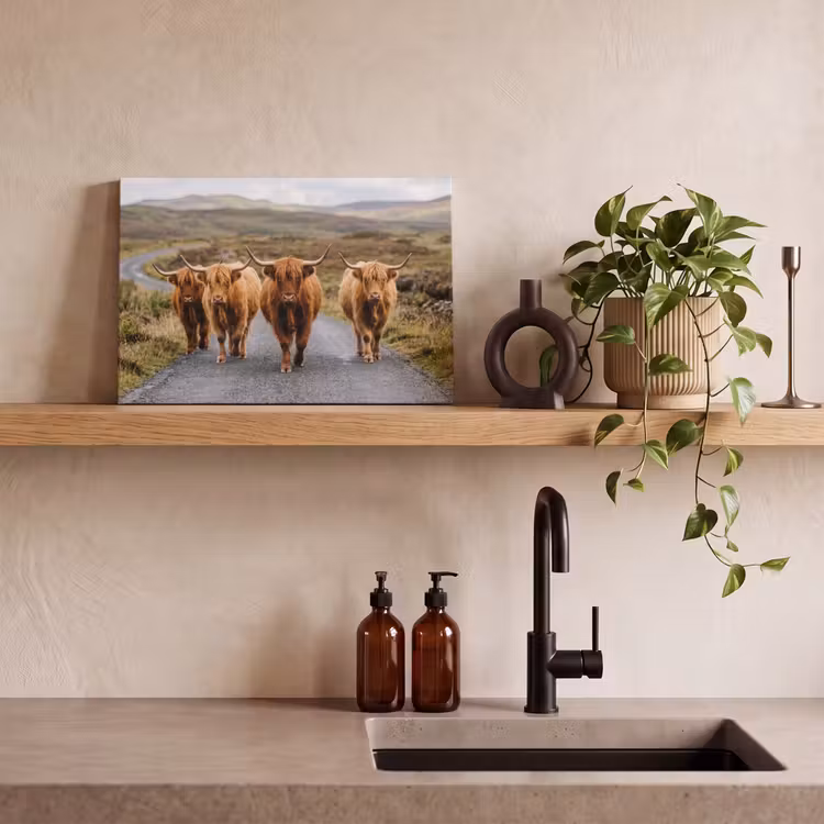 Schotse Hooglanders - Weg - Landschap - Kudde canvas 2cm klein -sfeer3