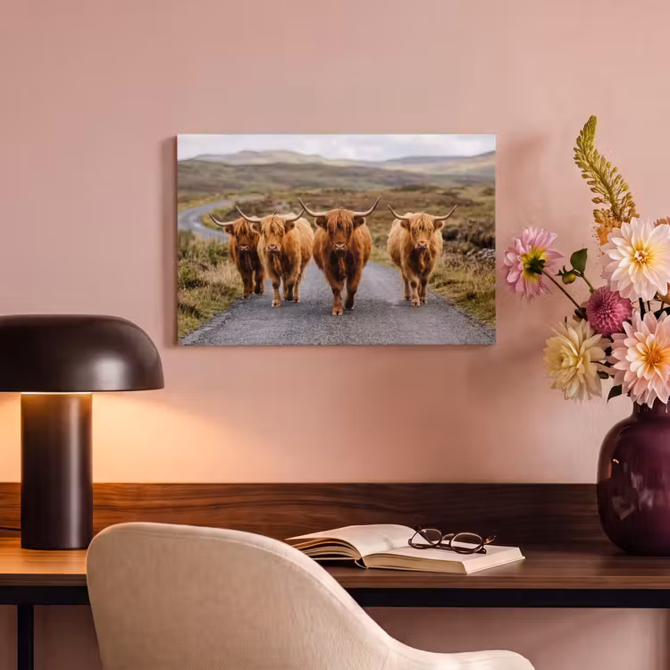 Schotse Hooglanders - Weg - Landschap - Kudde canvas 2cm klein -sfeer4