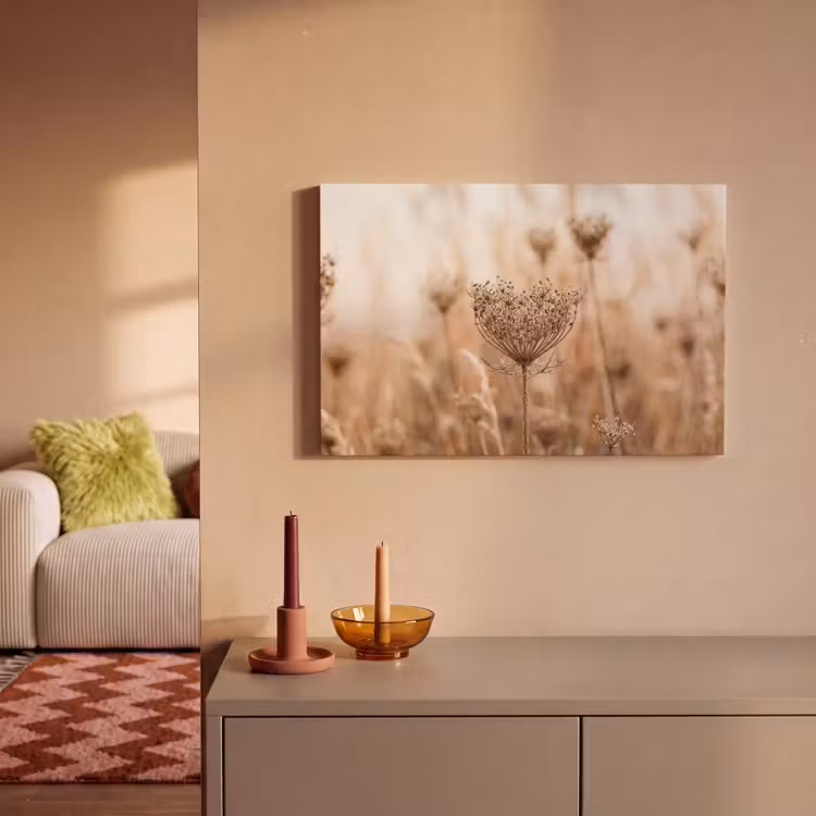 Schermbloem - Droogbloem - Winter - Beige - Minimalistisch canvas 2cm klein -sfeer1