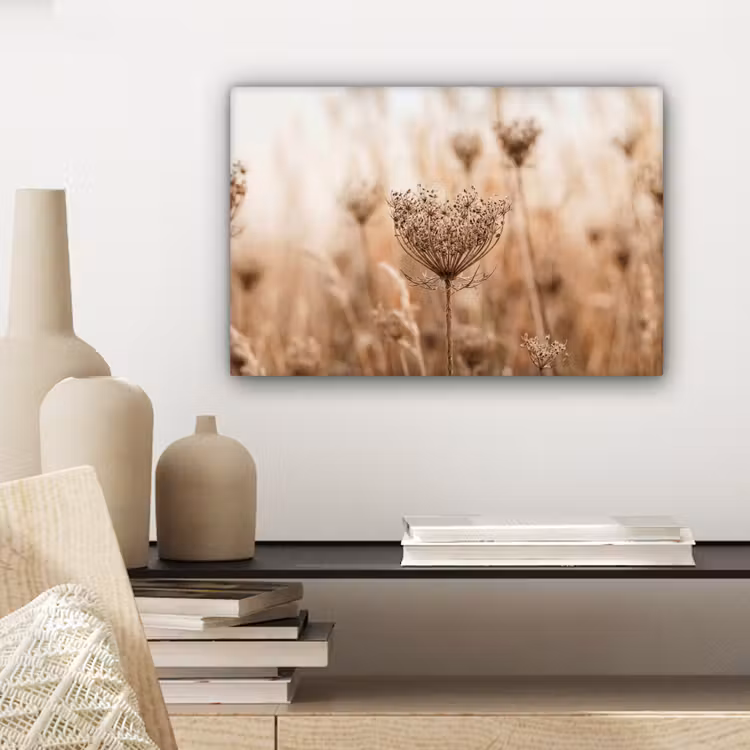 Schermbloem - Droogbloem - Winter - Beige - Minimalistisch canvas 2cm klein -sfeer6