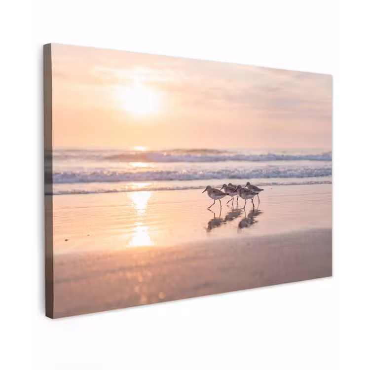 Zee - Vogels - Strand canvas 2cm klein -z3d