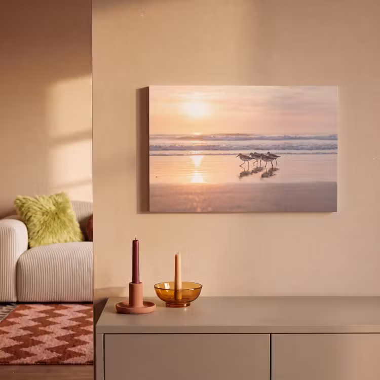 Zee - Vogels - Strand canvas 2cm klein -sfeer1