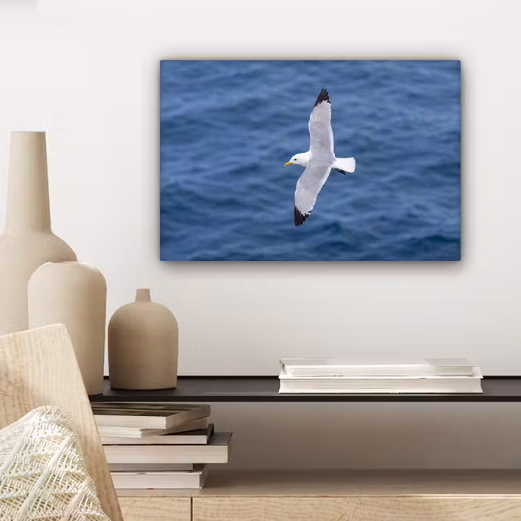 Zeemeeuw - Oceaan - Blauw canvas 2cm klein -sfeer6
