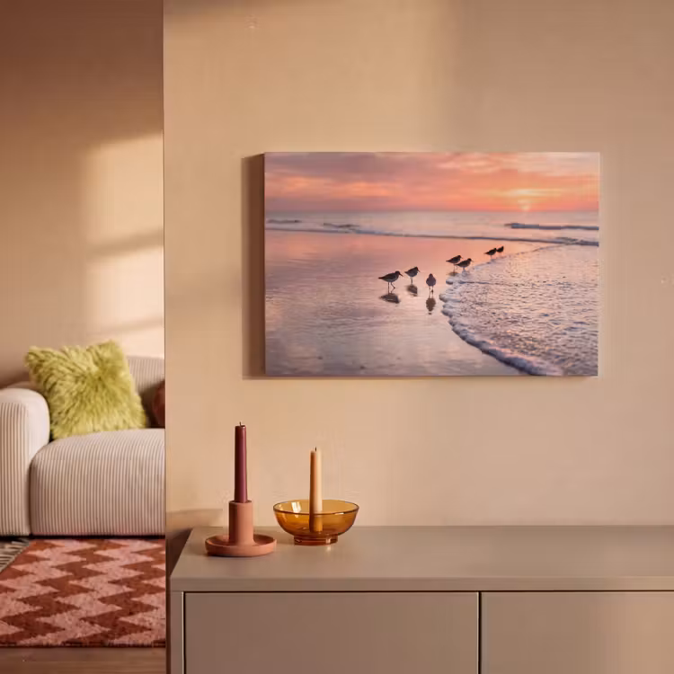 Meeuwen - Strand - Zee - Roze canvas 2cm klein -sfeer1