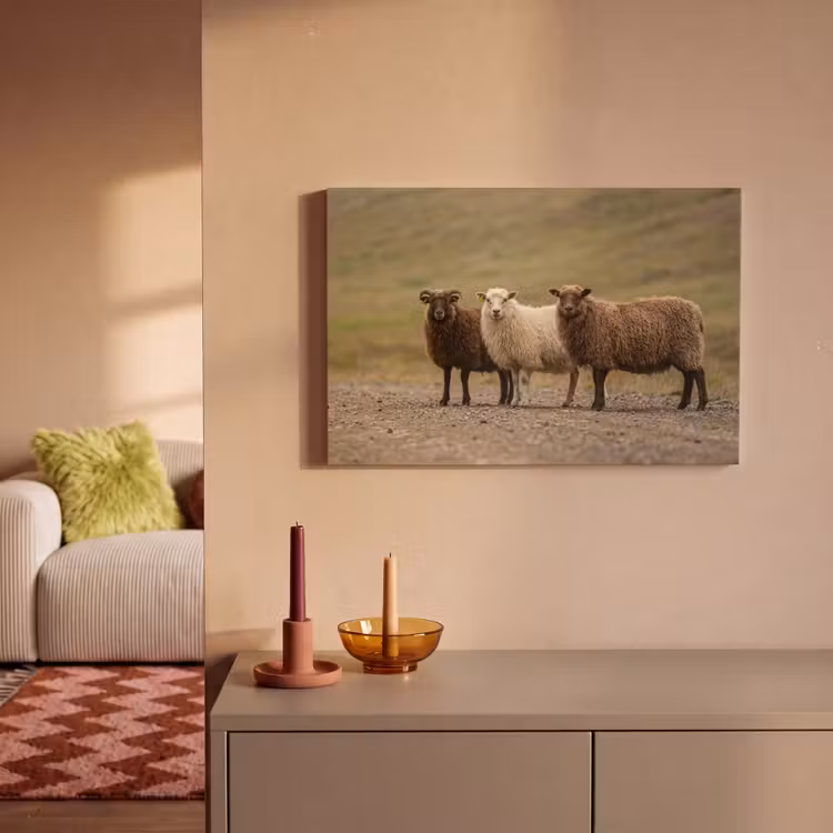 Schapen - Bruin - Wit - Grindpad canvas 2cm klein -sfeer1