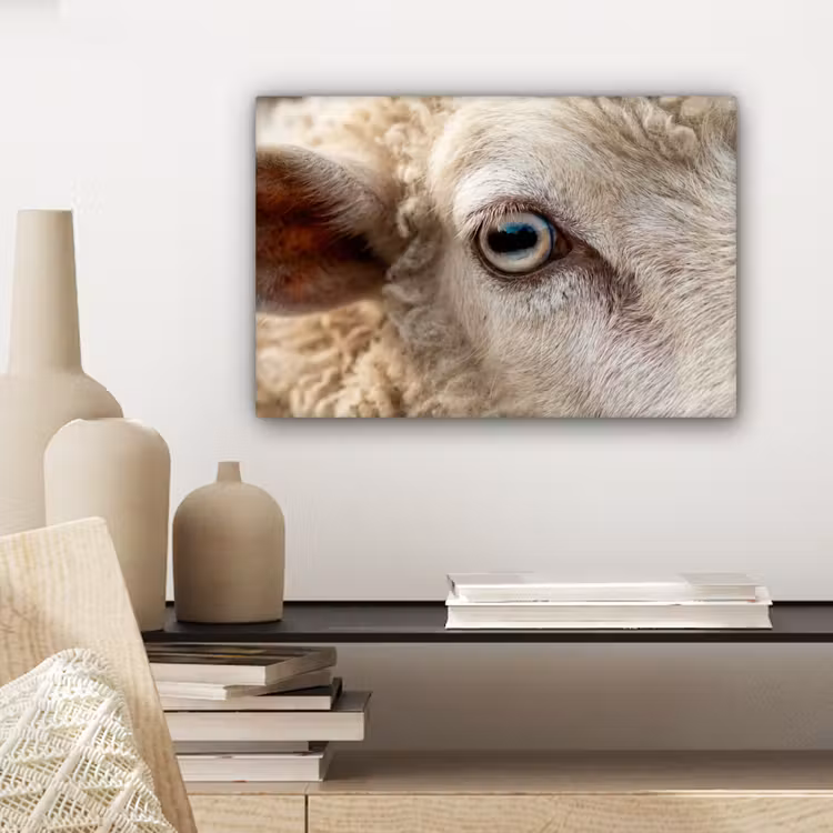 Schaap - Oog - Wit canvas 2cm klein -sfeer6