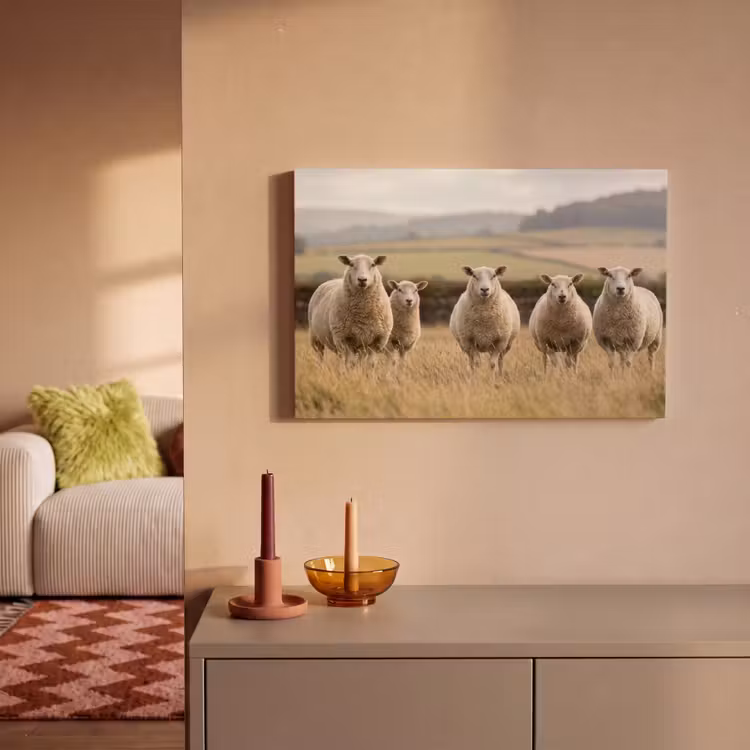 Schapen - Weidenlandschap - Heuvels canvas 2cm klein -sfeer1