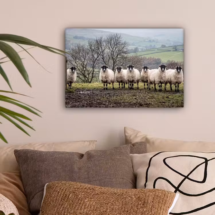 Schapen - Rij - Weide - Dieren - Platteland canvas 2cm klein -sfeer1