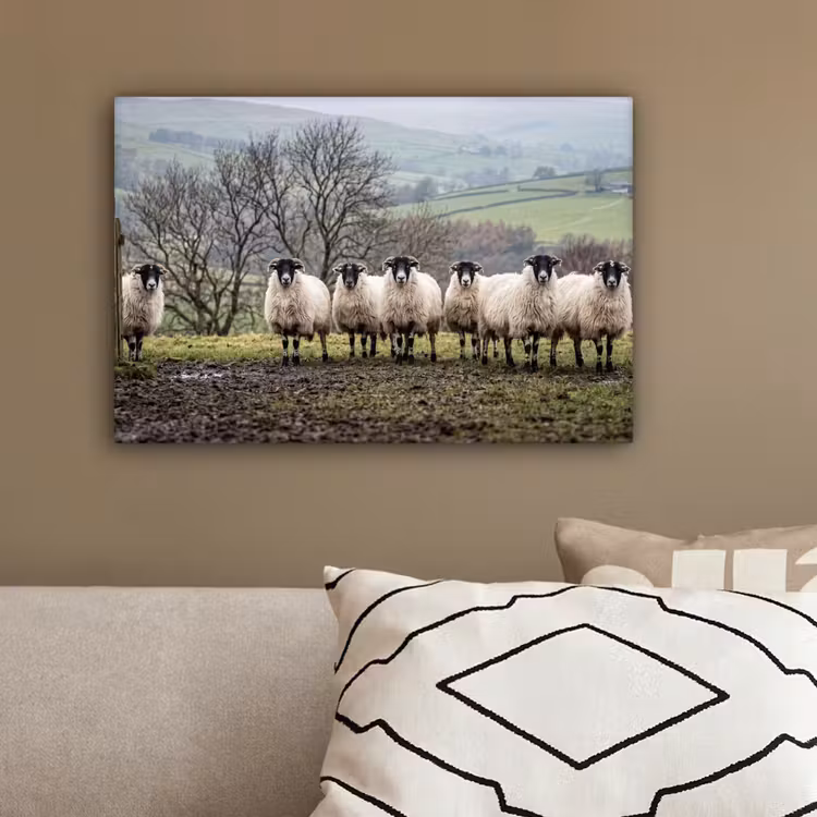 Schapen - Rij - Weide - Dieren - Platteland canvas 2cm klein -sfeer3