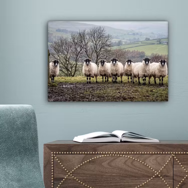 Schapen - Rij - Weide - Dieren - Platteland canvas 2cm klein -sfeer4
