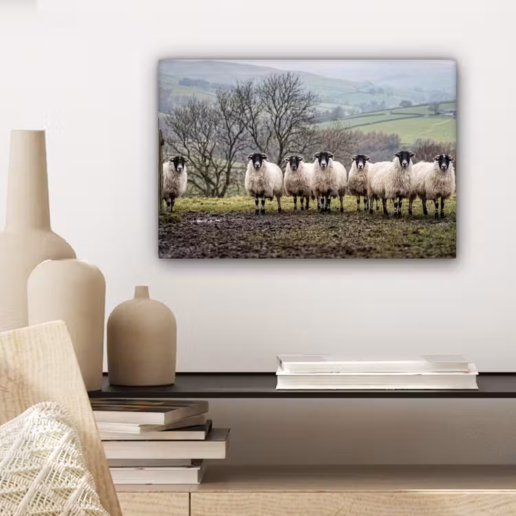 Schapen - Rij - Weide - Dieren - Platteland canvas 2cm klein -sfeer6
