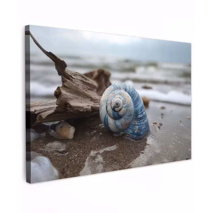 Schelp - Strand - Blauw - Zee canvas 2cm klein -z3d