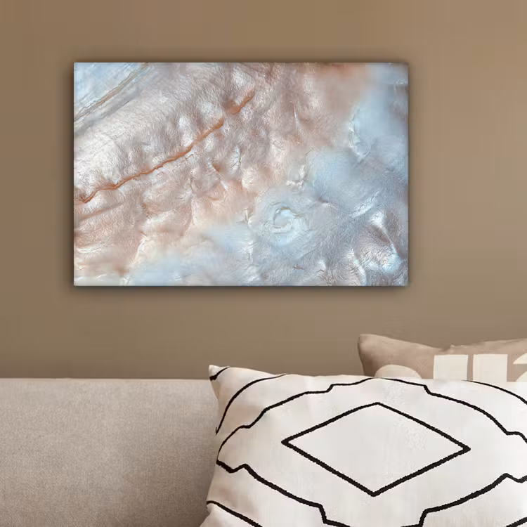 Schelpen - Abstract - Natuur canvas 2cm klein -sfeer3