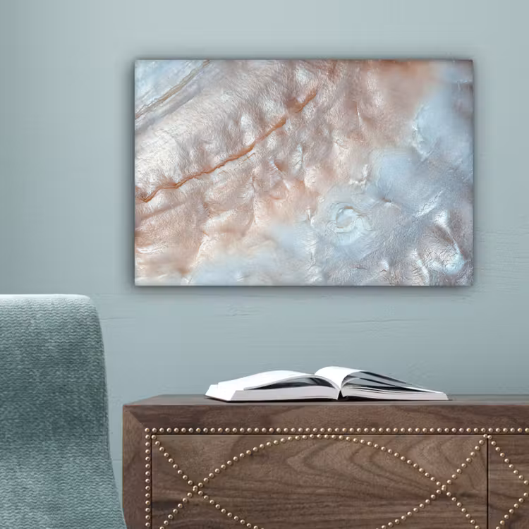 Schelpen - Abstract - Natuur canvas 2cm klein -sfeer4
