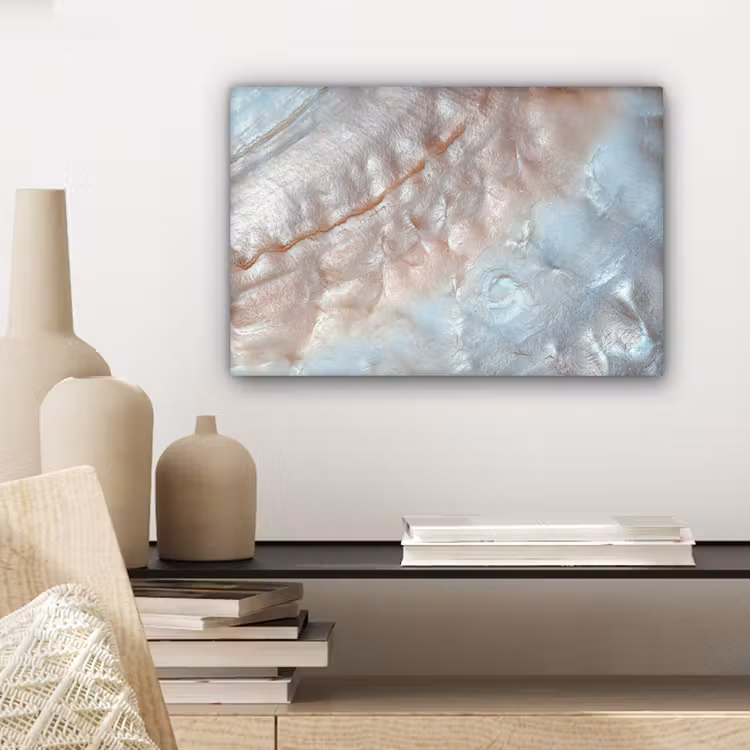 Schelpen - Abstract - Natuur canvas 2cm klein -sfeer6