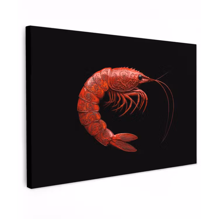 Garnaal - Rood - Dieren canvas 2cm klein -z3d