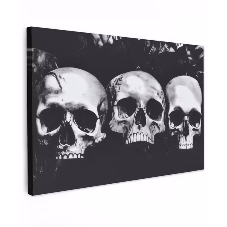 Schedels - Zwart - Contrast canvas 2cm klein -z3d