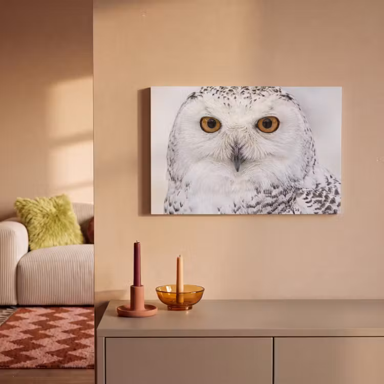 Sneeuwuil - Oog - Wildlife - Wit canvas 2cm klein -sfeer1