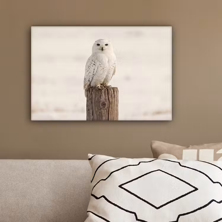 Sneeuwuil - Paal - Winter - Portret - Majestueus canvas 2cm klein -sfeer3