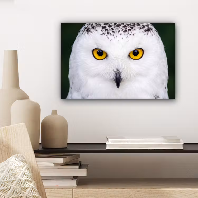 Sneeuwuil - Portret - Geel canvas 2cm klein -sfeer6