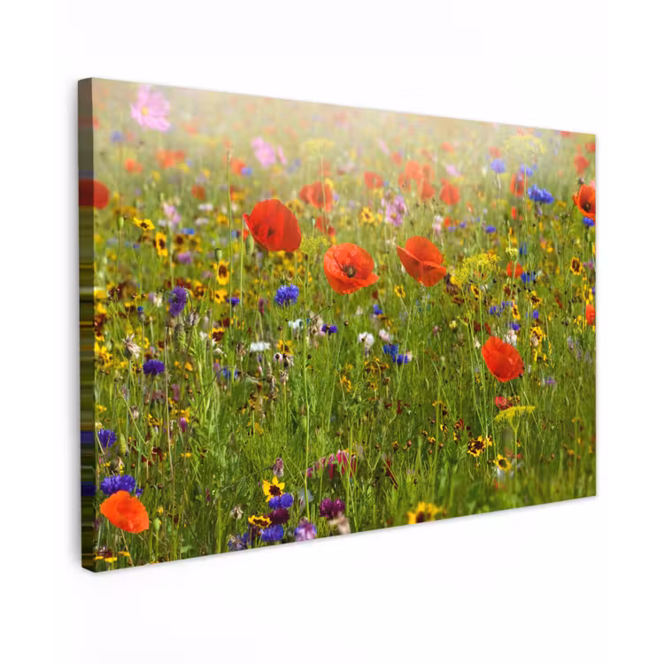 Lente - Bloemen - Rood - Klaproos - Gras - Groen canvas 2cm klein -z3d