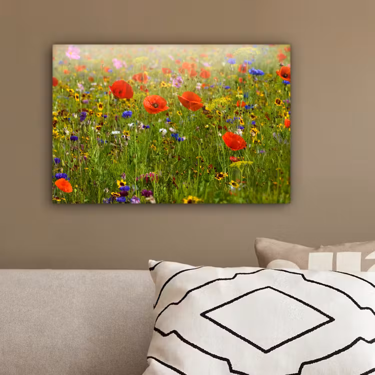 Lente - Bloemen - Rood - Klaproos - Gras - Groen canvas 2cm klein -sfeer3