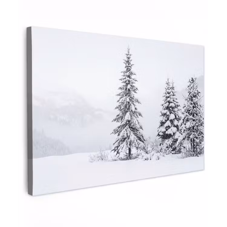 Fijnsparren - Sneeuw - Winter - Landschap - Stilte canvas 2cm klein -z3d