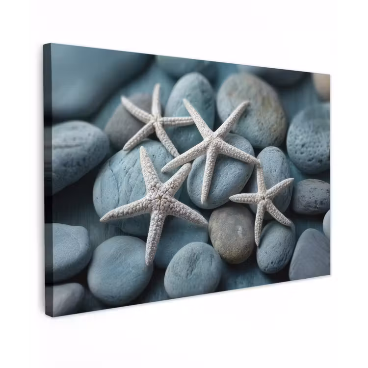 Zeesterren - Stenen - Wit canvas 2cm klein -z3d