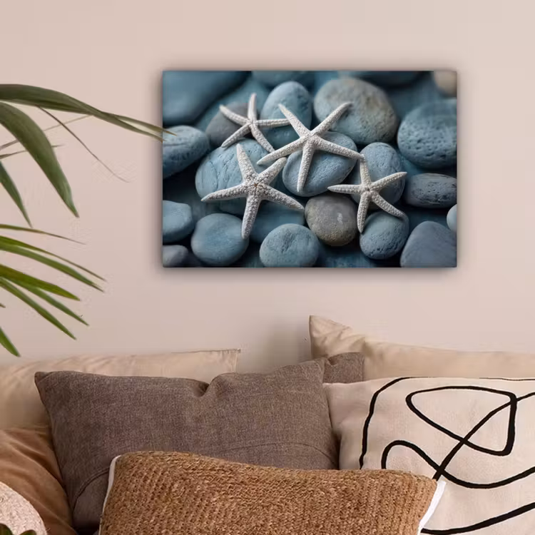 Zeesterren - Stenen - Wit canvas 2cm klein -sfeer1