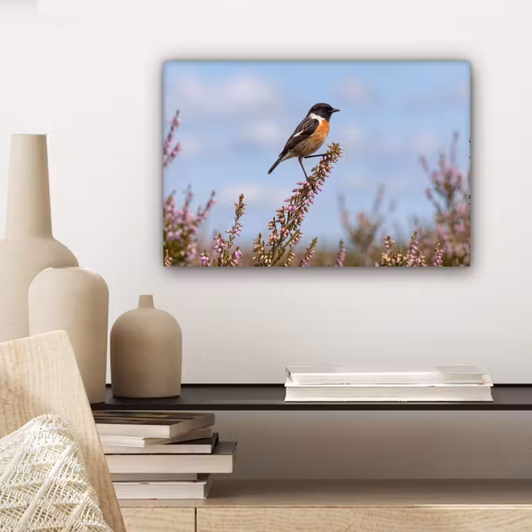 Roodborsttapuit - Heide - Paars - Natuur - Sfeervol canvas 2cm klein -sfeer6