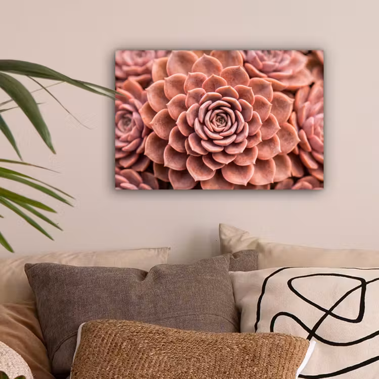 Vetplant - Organisch - Roze canvas 2cm klein -sfeer1