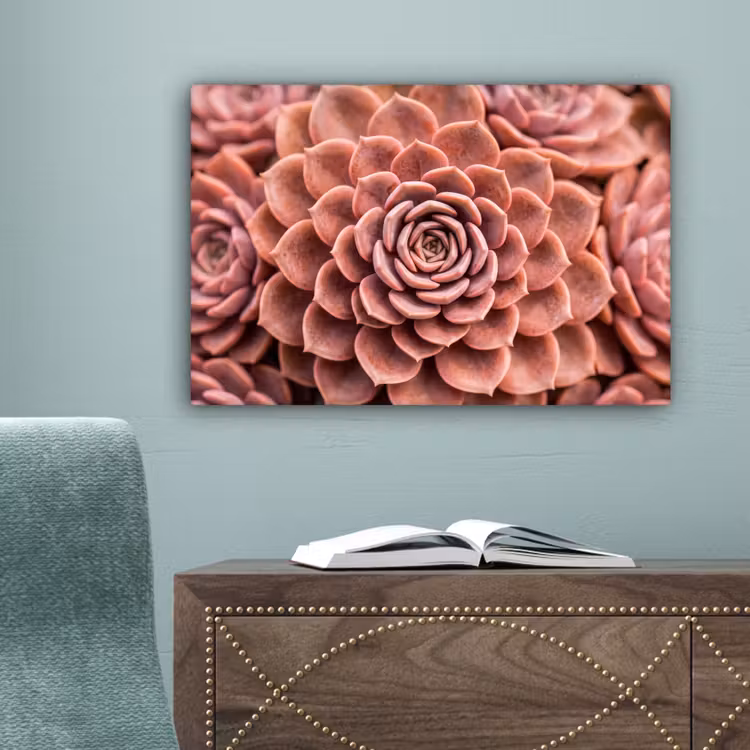 Vetplant - Organisch - Roze canvas 2cm klein -sfeer4